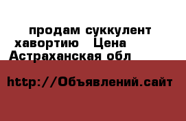 продам суккулент хавортию › Цена ­ 500 - Астраханская обл.  »    